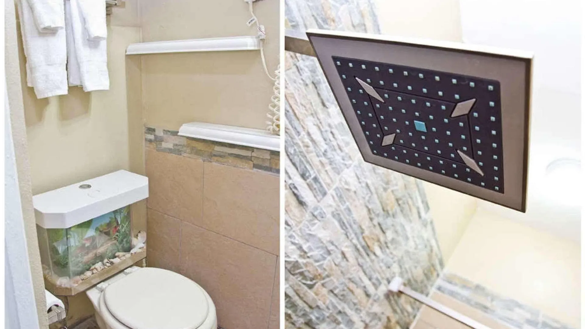 Studio With Modern Amenities, Walk-In Shower, Jacuzzi, Beach, And Pool, (Adults Only) بورتوريكو