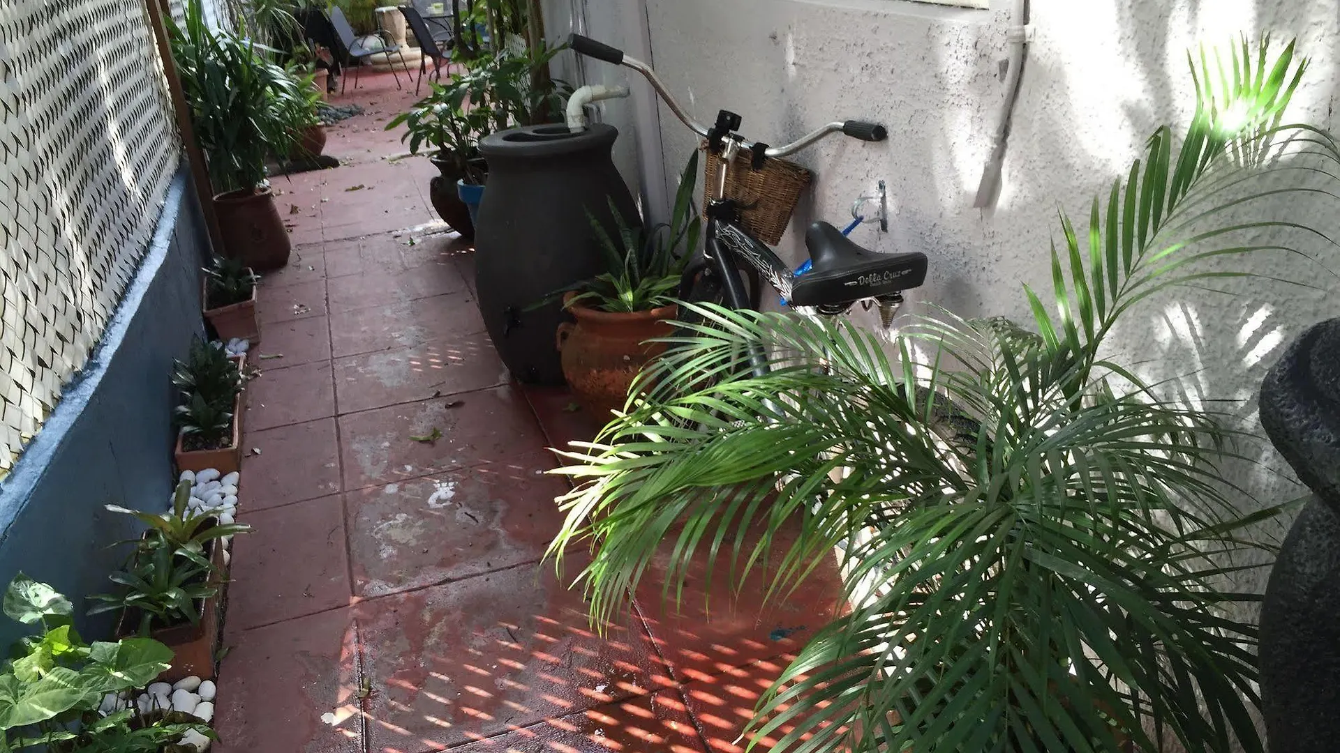 Διαμέρισμα Coqui Del Mar Guesthouse (Adults Only) Σαν Χουάν